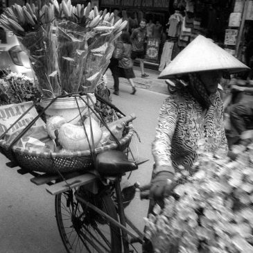 Orion-15 28mm F6 Additional Review