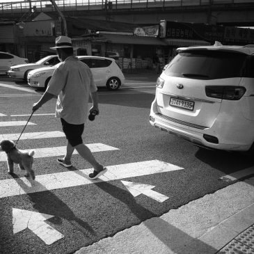 Carl Zeiss Jena Topogon 1:4 f=25mm Usage